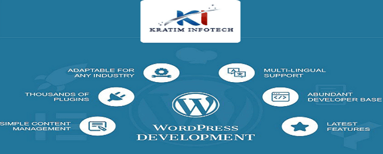 WordPress Development Service