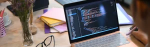 web_development_ban
