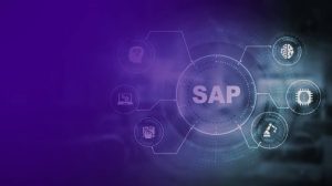 SAP DEVELOPMENT