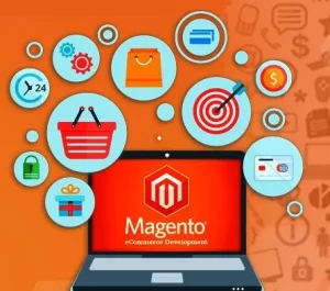Magento Development