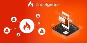 CodeIgniter Development Services